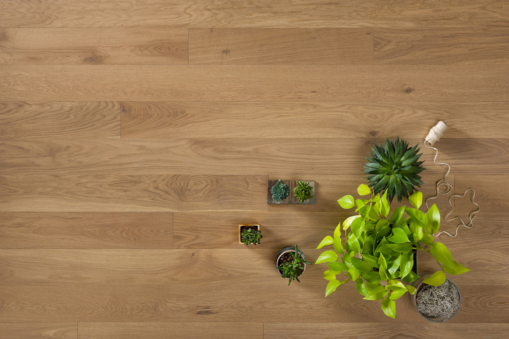 Coswick Raw Sienna OAK