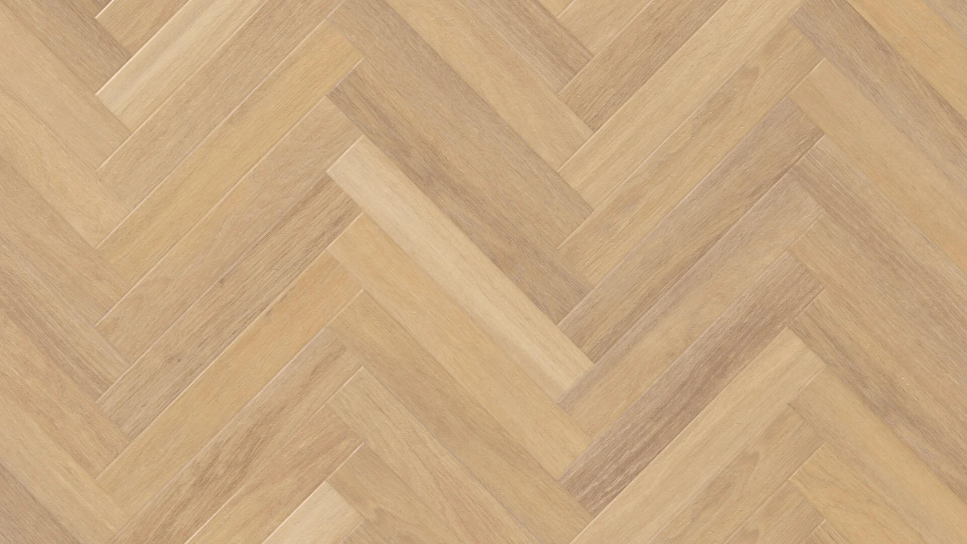 Unifloors Baku